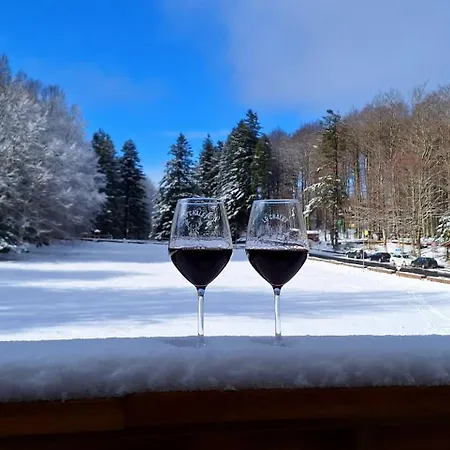 Chalet Il Rifugio Di Gastone - Monte Amiata -